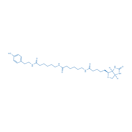 N-(4-Hydroxyphenethyl)-6-(6-(5-((3aS,4S,6aR)-2-oxohexahydro-1H-thieno[3,4-d]imidazol-4-yl)pentanamido)hexanamido)hexanamide