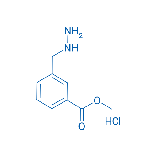 Methyl 3-(hydrazinylmethyl)benzoate hydrochloride