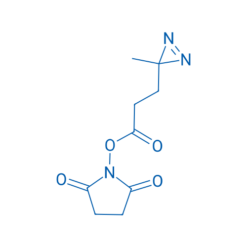 2,5-Dioxopyrrolidin-1-yl 3-(3-methyl-3H-diazirin-3-yl)propanoate