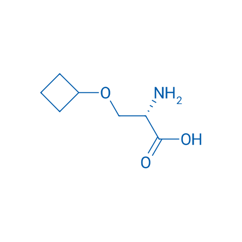 (S)-2-Amino-3-cyclobutoxypropanoic acid