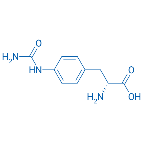 (R)-2-Amino-3-(4-ureidophenyl)propanoic acid