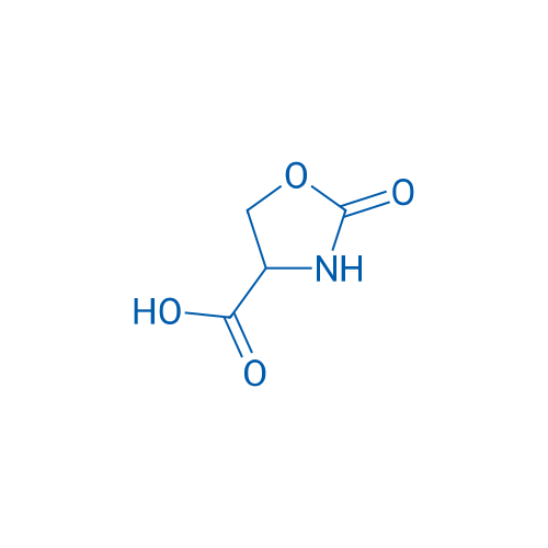 2-Oxooxazolidine-4-carboxylic acid