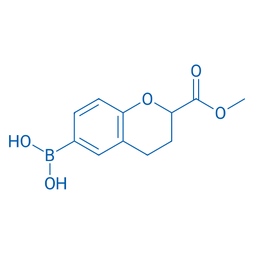 (2-(Methoxycarbonyl)chroman-6-yl)boronic acid