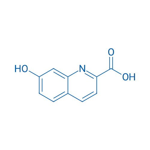 7-Hydroxyquinoline-2-carboxylic acid