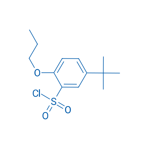 5-(tert-Butyl)-2-propoxybenzene-1-sulfonyl chloride