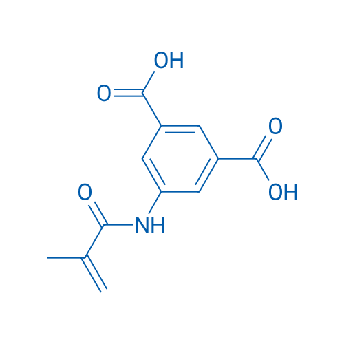 5-Methacrylamidoisophthalic acid