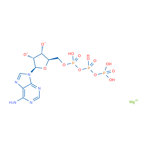 Magnesium (2R,3R,4R,5R)-2-(6-amino-9H-purin-9-yl)-5-(((hydroxy((hydroxy(phosphonooxy)phosphoryl)oxy)phosphoryl)oxy)methyl)tetrahydrofuran-3,4-bis(olate)