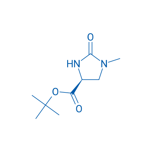 (S)-tert-Butyl 1-methyl-2-oxoimidazolidine-4-carboxylate