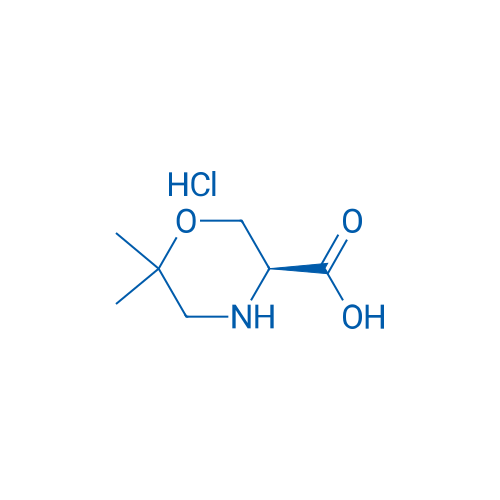 (S)-6,6-Dimethylmorpholine-3-carboxylic acid hydrochloride