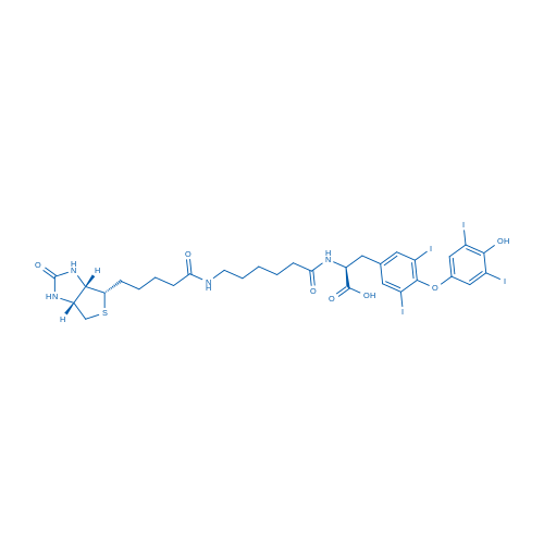 Biotin-hexanamide-(L-Thyroxine)
