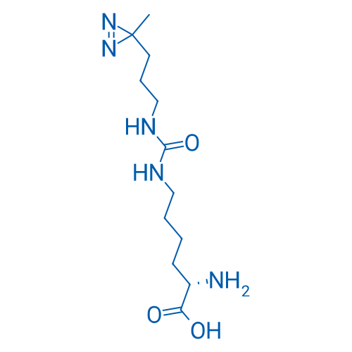 (S)-2-Amino-6-(3-(3-(3-methyl-3H-diazirin-3-yl)propyl)ureido)hexanoic acid