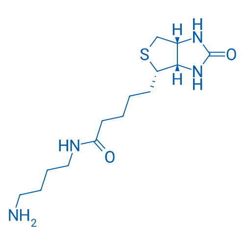 N-(4-Aminobutyl)-5-((3aS,4S,6aR)-2-oxohexahydro-1H-thieno[3,4-d]imidazol-4-yl)pentanamide