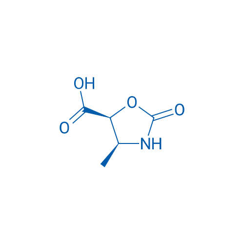 (4S,5S)-4-Methyl-2-oxooxazolidine-5-carboxylic acid