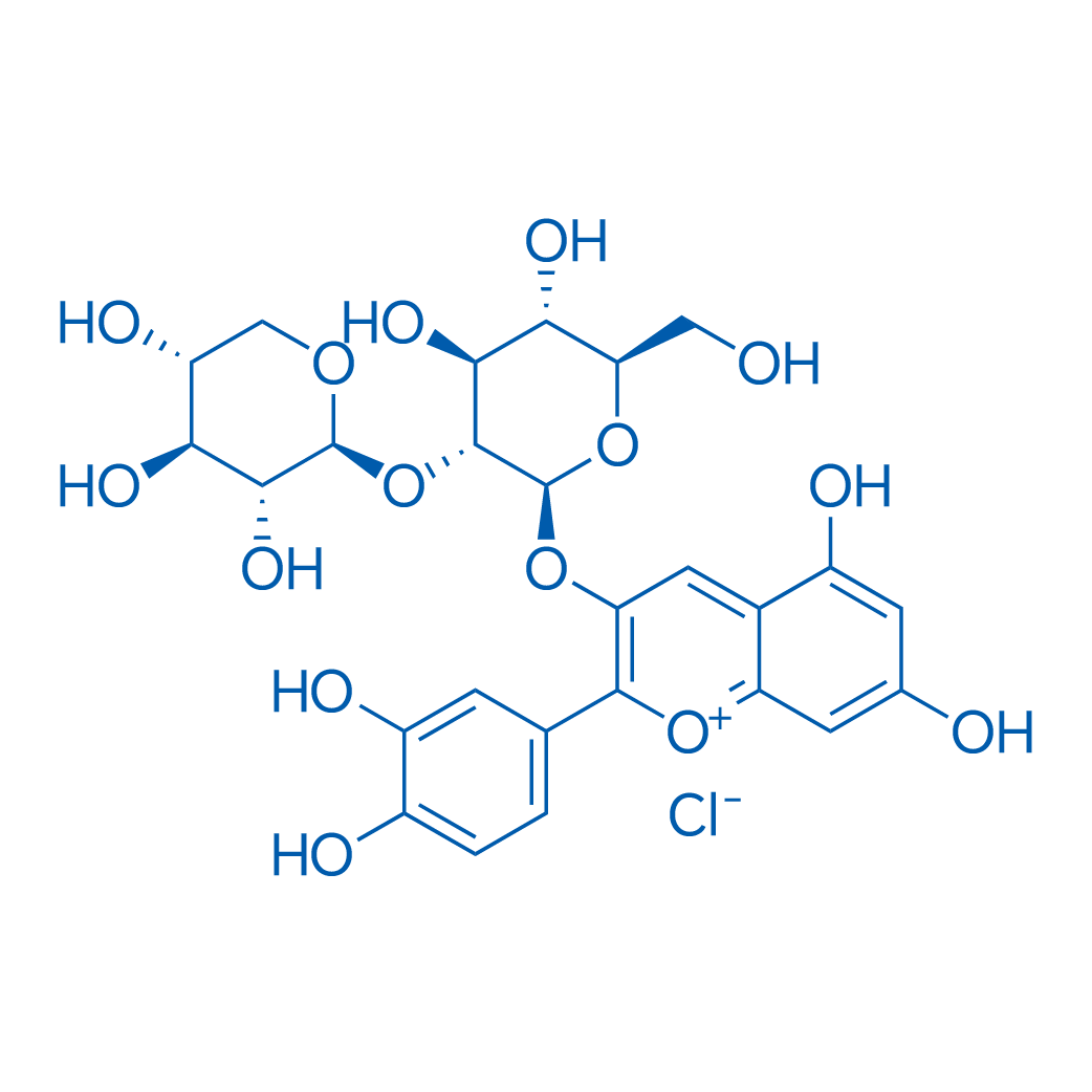 3-(((2S,3R,4S,5S,6R)-4,5-Dihydroxy-6-(hydroxymethyl)-3-(((2S,3R,4S,5R)-3,4,5-trihydroxytetrahydro-2H-pyran-2-yl)oxy)tetrahydro-2H-pyran-2-yl)oxy)-2-(3,4-dihydroxyphenyl)-5,7-dihydroxychromenylium chloride