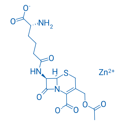 Zinc(II) (6R,7R)-3-(acetoxymethyl)-7-((R)-5-amino-5-carboxylatopentanamido)-8-oxo-5-thia-1-azabicyclo[4.2.0]oct-2-ene-2-carboxylate