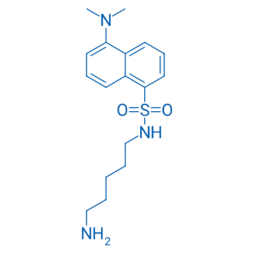 N-(5-Aminopentyl)-5-(dimethylamino)naphthalene-1-sulfonamide