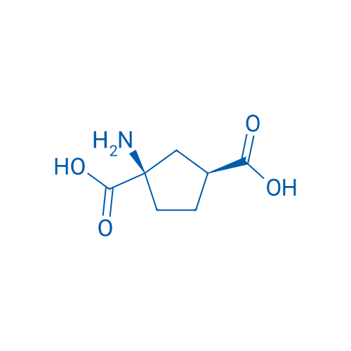 trans-1-Aminocyclopentane-1,3-dicarboxylic acid