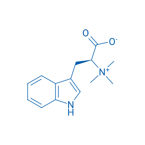 (S)-3-(1H-Indol-3-yl)-2-(trimethylammonio)propanoate