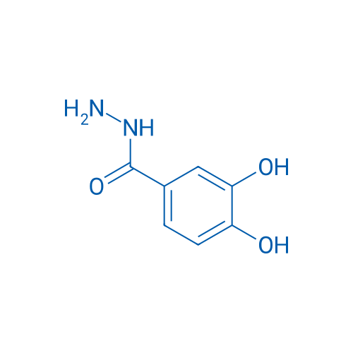 3,4-Dihydroxybenzohydrazide