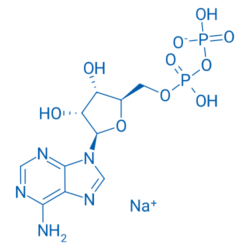 Sodium ((2R,3S,4R,5R)-5-(6-amino-9H-purin-9-yl)-3,4-dihydroxytetrahydrofuran-2-yl)methyl dihydrogendiphosphate