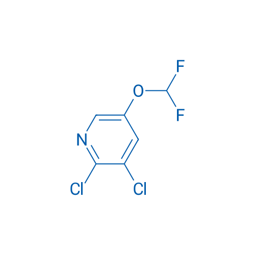 2,3-Dichloro-5-(difluoromethoxy)pyridine