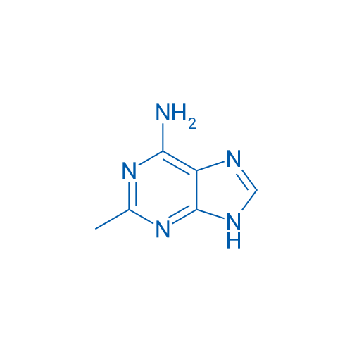 2-Methyl-1H-purin-6-amine