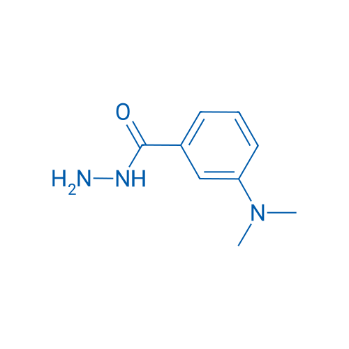 3-(Dimethylamino)benzohydrazide