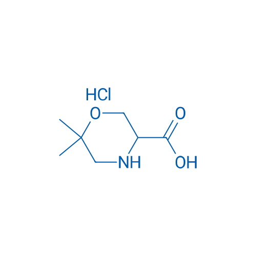 6,6-Dimethylmorpholine-3-carboxylic acid hydrochloride