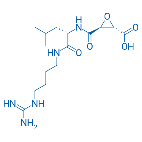 (2S,3S)-3-(((S)-1-((4-Guanidinobutyl)amino)-4-methyl-1-oxopentan-2-yl)carbamoyl)oxirane-2-carboxylic acid