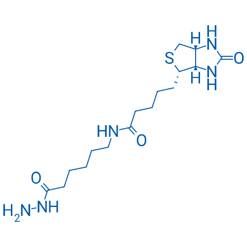 N-(6-Hydrazinyl-6-oxohexyl)-5-((3aS,4S,6aR)-2-oxohexahydro-1H-thieno[3,4-d]imidazol-4-yl)pentanamide
