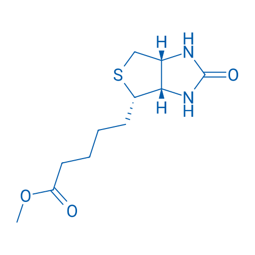 Biotinmethylester