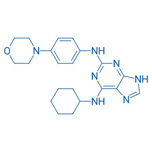 N6-Cyclohexyl-N2-(4-morpholinophenyl)-9H-purine-2,6-diamine
