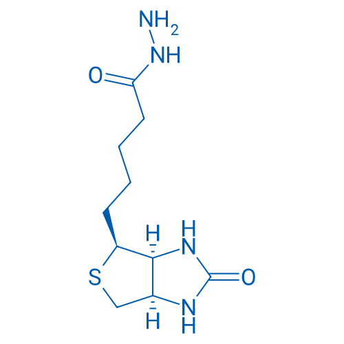 5-((3aS,4S,6aR)-2-Oxohexahydro-1H-thieno[3,4-d]imidazol-4-yl)pentanehydrazide