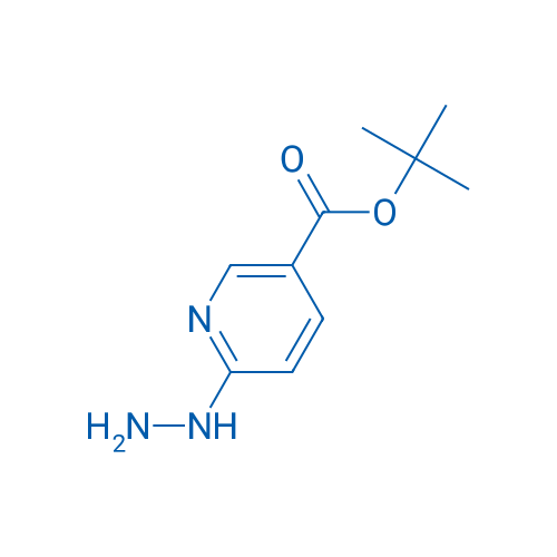 tert-Butyl 6-hydrazinylnicotinate