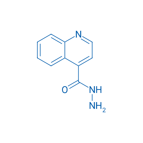 Quinoline-4-carbohydrazide