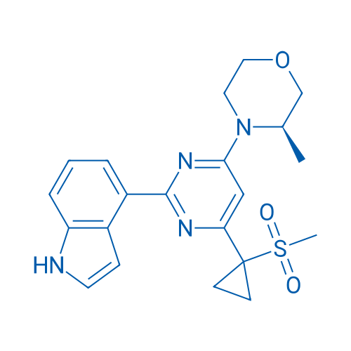 (R)-4-(2-(1H-Indol-4-yl)-6-(1-(methylsulfonyl)cyclopropyl)pyrimidin-4-yl)-3-methylmorpholine