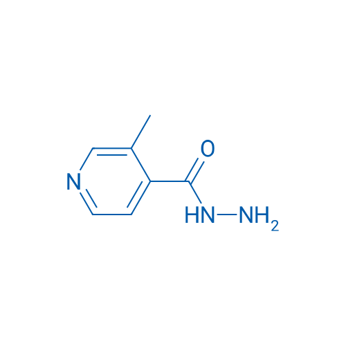 3-Methylisonicotinohydrazide