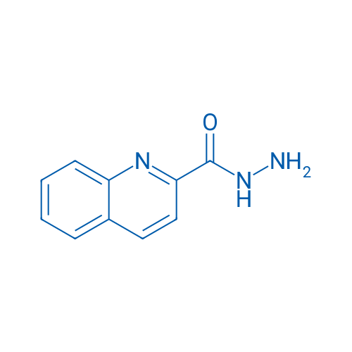 Quinoline-2-carbohydrazide
