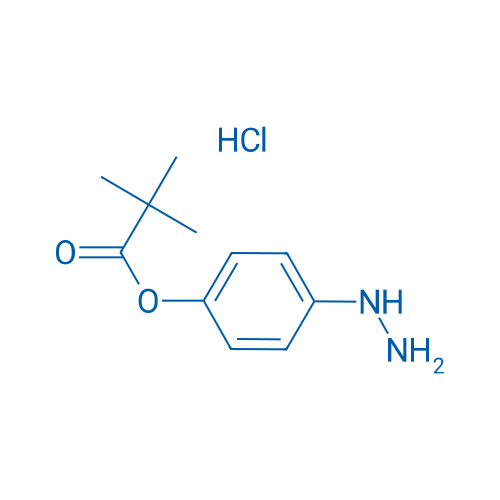 4-Hydrazinylphenyl pivalate hydrochloride