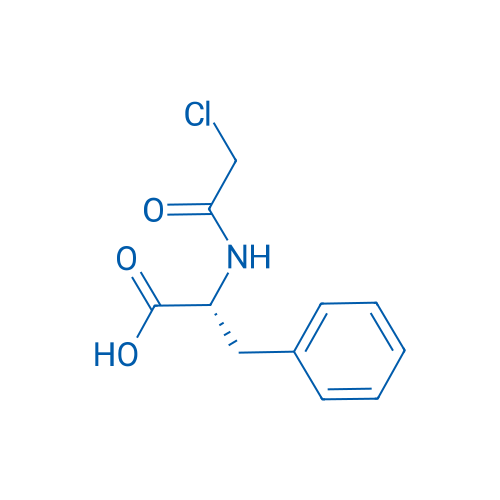 (R)-2-(2-Chloroacetamido)-3-phenylpropanoic acid