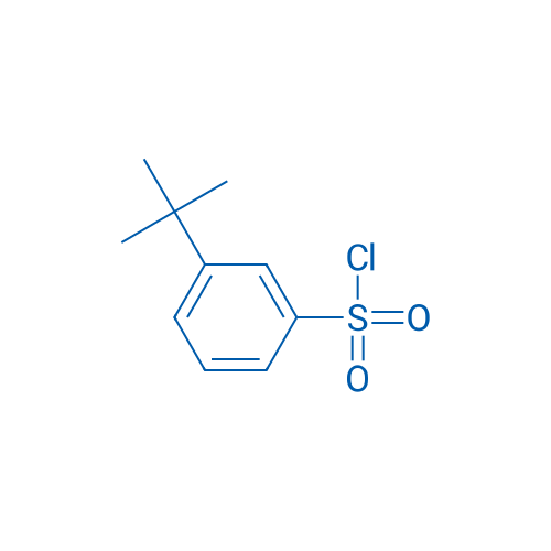 3-(tert-Butyl)benzene-1-sulfonyl chloride