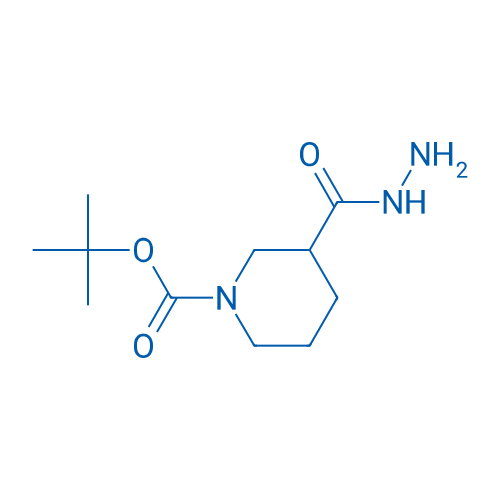 tert-Butyl 3-(hydrazinecarbonyl)piperidine-1-carboxylate