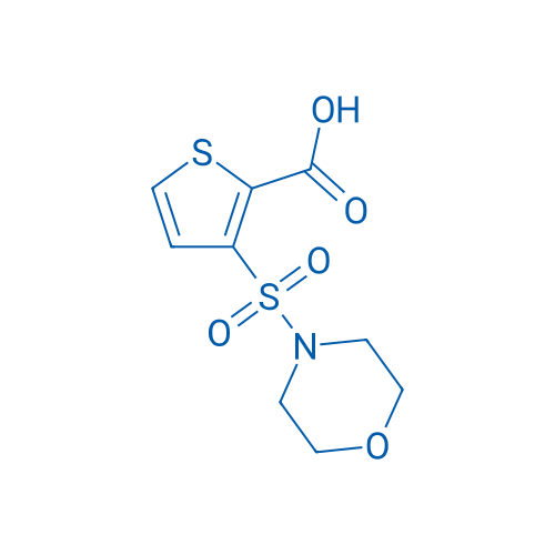 3-(Morpholin-4-ylsulfonyl)thiophene-2-carboxylic acid