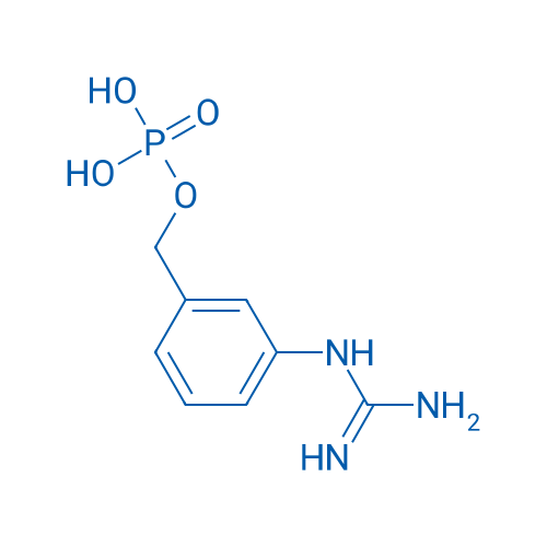 3-Guanidinobenzyl dihydrogen phosphate