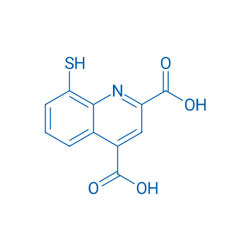8-Mercaptoquinoline-2,4-dicarboxylic acid