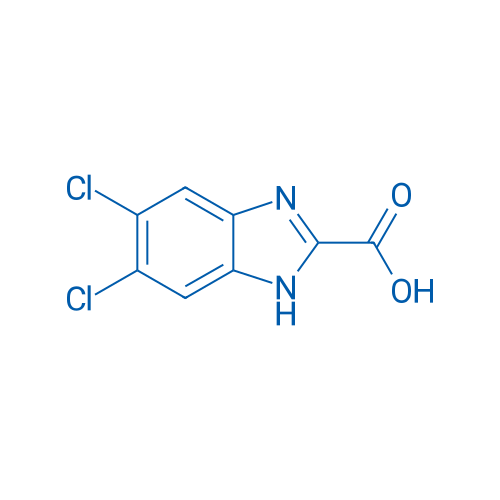 5,6-Dichloro-1H-benzimidazole-2-carboxylic acid