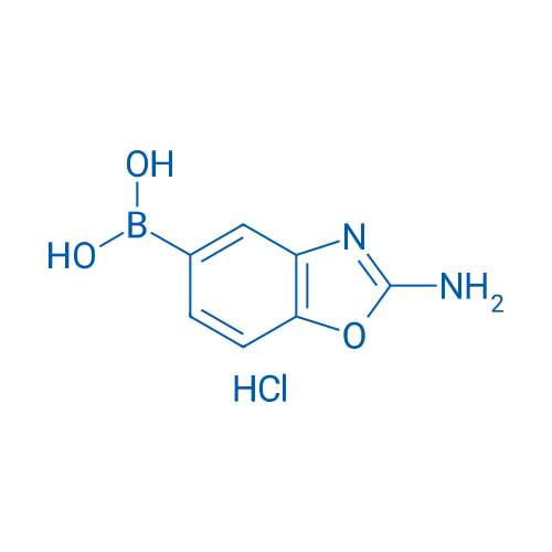 (2-Amino-1,3-benzoxazol-5-yl)boronic acid hydrochloride