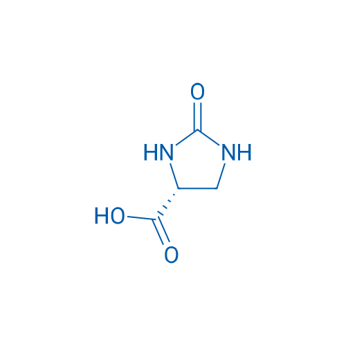 (R)-2-Oxoimidazolidine-4-carboxylic acid